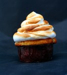 Coconut & Lime cupcake