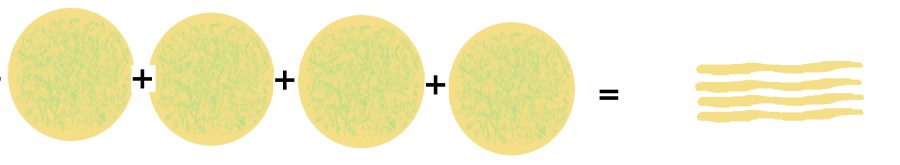 Four--layer stack of dough circles