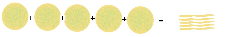 Five-layer stack of dough