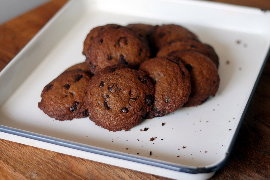 Gluten-free Dairy-free Chocolate Chip Biscuits